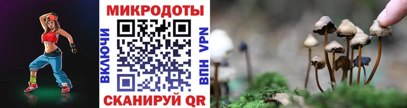Галлюциногенные грибы GOLDEN TEACHER  Купить закладки  Ардон 